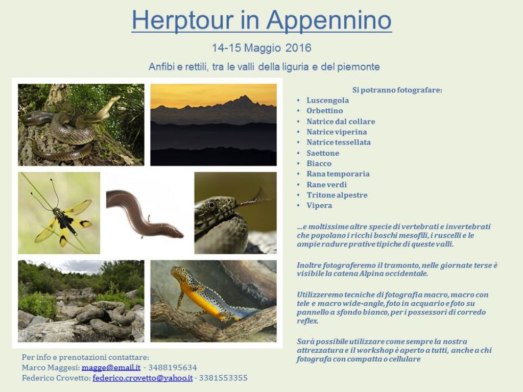 Workshop fotografico naturalistico: Herptour in Appennino